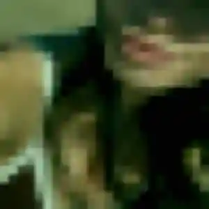 plan cul à Cuigy-en-Bray : photo de Yael, 36 ans - accès libre