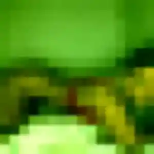 Photo perso de Nora, 44 ans à Cuinchy - plan discret