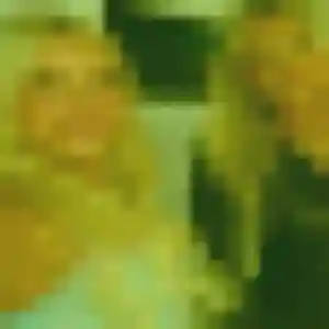 Wanda, 36 ans, connectée à Cunlhat pour une rencontre coquine