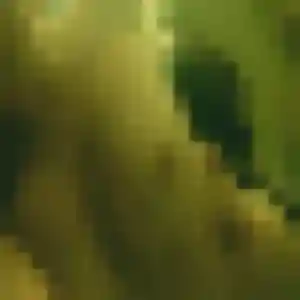 plan cul à Dannemois : photo de Jade, 38 ans - accès libre