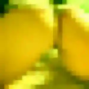 Photo perso de Violette, 28 ans à Deaux - rencontre coquine
