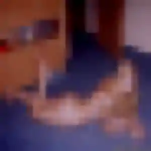 Photo exclusive de Iseult, 44 ans à Diebolsheim - rencontre coquine