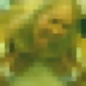 Salima, 43 ans, dispo pour plan cul à Dieulefit