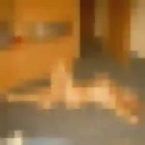 Contacte Jeanne, 44 ans à Domérat en privé