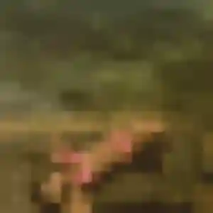 Elise, femme de 36 ans veut plan cul à Dossenheim-sur-Zinsel