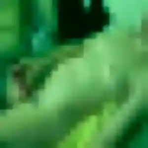 Malika, 30 ans, en ligne à Dry pour une rencontre coquine