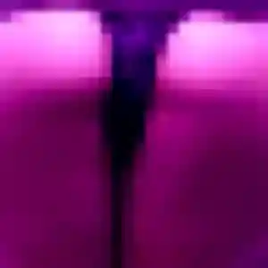 Irene, 40 ans, dispo pour plan cul à Duppigheim
