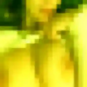 Jolie Sarah, 26 ans à Ecques - la contacter