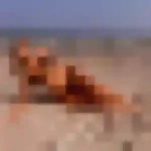 Berengere, 23 ans, connectée à Elne pour une rencontre coquine