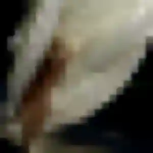 Profil de Nicole à Entrevaux (45 ans) - plan cul discret