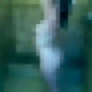 Dounia, 35 ans, cherche un plan cul à Essey-lès-Nancy
