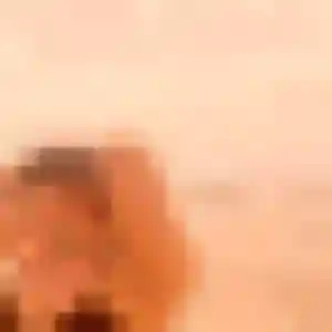 Photo perso de Lilou, 27 ans à Étival-lès-le-Mans - rencontre coquine