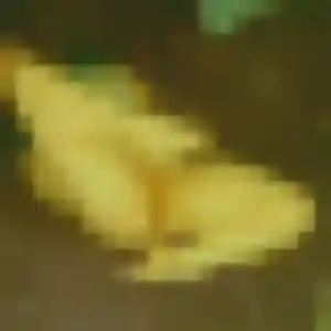 Anne, 44 ans, connectée à Étréchy pour une rencontre coquine