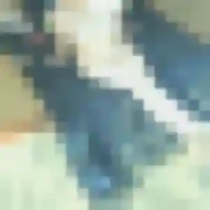 Isabelle, 26 ans, dispo pour plan cul à Évry-Grégy-sur-Yerre