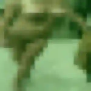 Profil de Anne-Sophie à Ézanville (35 ans) - plan cul anonyme