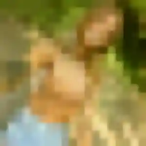 Brune de Fains-Véel, 36 ans - plan cul discret