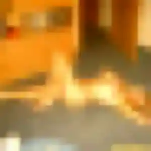 Charmante Tamara, 44 ans à Fargues-Saint-Hilaire - la contacter