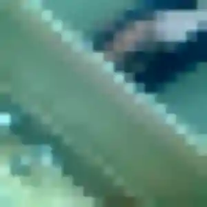 Sexy Amel, 22 ans à Fesches-le-Châtel - voir sa photo