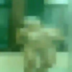 Profil de Valerie à Feugarolles (24 ans) - plan cul gratuit