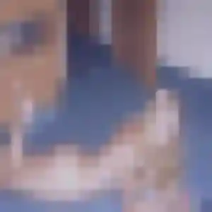 Luna, fille de 35 ans propose plan cul à Flaviac