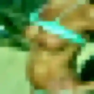 Photo exclusive de Xaviere, 44 ans à Flocques - rencontre sans lendemain