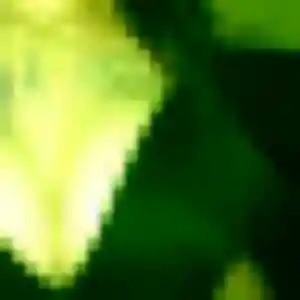 plan cul à Florange : photo de Pierrette, 28 ans - inscription gratuite