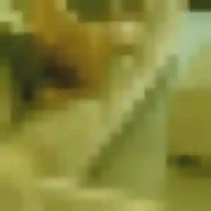 Photo de Amel à Fontenailles (43 ans) - plan cul gratuit