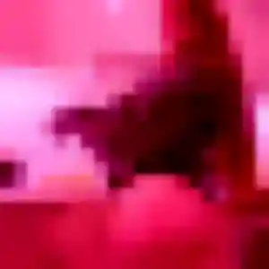 Photo exclusive de Emeraude, 23 ans à Fontenay-le-Vicomte - rencontre coquine