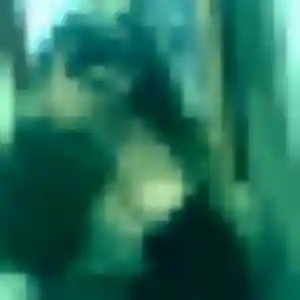 Stephanie de Fontenay-Trésigny, 25 ans - plan cul sans prise de tête