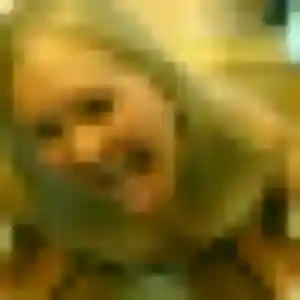 Rejoins Aurore, 26 ans à Fressenneville en t'inscrivant