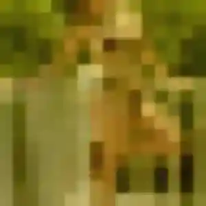 Photo de Sibylle à Frozes (36 ans) - plan cul anonyme