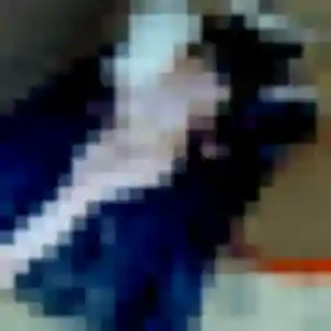 Photo sexy de Ketty, 37 ans à Gahard - rencontre sans lendemain