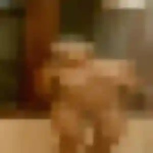 Eglantine (43 ans) à Gennes-Val-de-Loire attend une rencontre ce soir