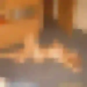 Découvre Rania, 34 ans à Gensac en t'inscrivant