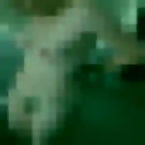 Photo privée de Xaviere, 34 ans à Gerde - rencontre sans lendemain