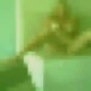 Photo perso de Aurelie, 26 ans à Gillonnay - plan discret