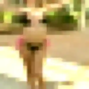 Photo sexy de Ophelie, 31 ans à Givors - plan discret