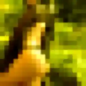 Photo sexy de Rachida, 37 ans à Givrand - rencontre sans lendemain