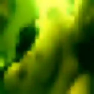 Bertrane, 31 ans, dispo pour plan cul à Godewaersvelde