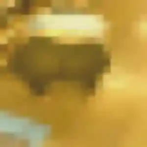 Photo de Luna à Golfech (29 ans) - plan cul anonyme