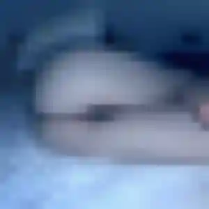 Bernadette, 35 ans, cherche un plan cul à Gommegnies