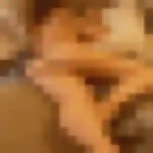 Sexy Emilie, 33 ans à Gordes - voir sa photo