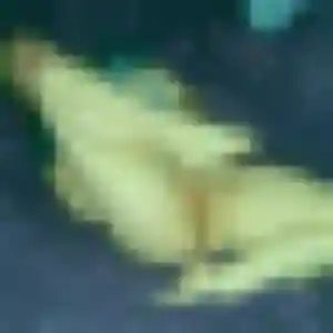 Ximena (38 ans) à Gouzeaucourt cherche une rencontre maintenant