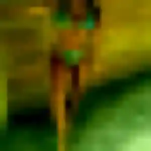 Rejoins Morgane, 42 ans à Graçay gratuitement