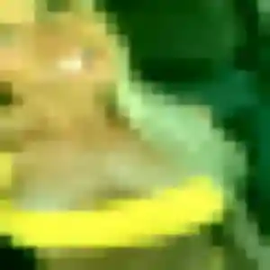Constance (38 ans) à Grandfresnoy attend un plan cul ce soir