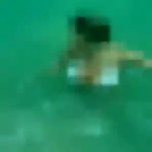 Rejoins Marine, 25 ans à Grentheville gratuitement