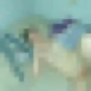 Sylviane, 31 ans, dispo pour plan cul à Grez-Neuville