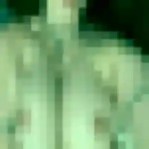 Sexy Laetitia, 44 ans à Grillon - voir sa photo