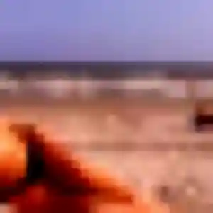Hajar, 29 ans, dispo pour plan cul à Groix