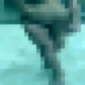 Eliane, 36 ans, disponible à Guécélard pour une rencontre coquine